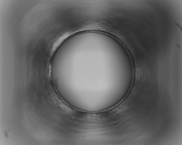 X0000103471366200809261854