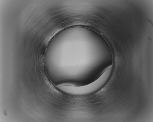 X0000103471369200809261854