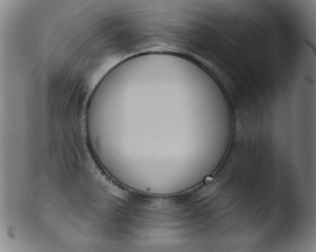 X0000103471375200809261854