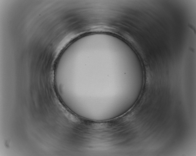 X0000103471376200809261854