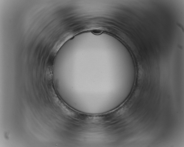 X0000103471377200809261854