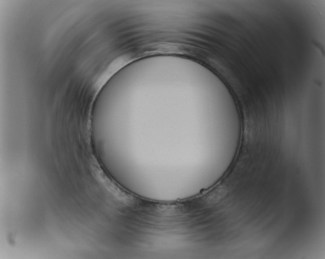 X0000103471378200809261854