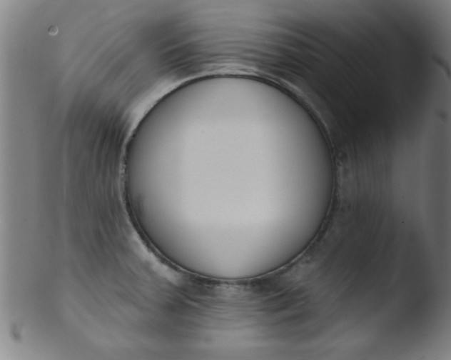 X0000103471379200809261854