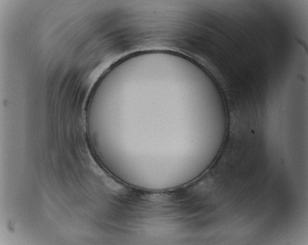 X0000103471380200809261854