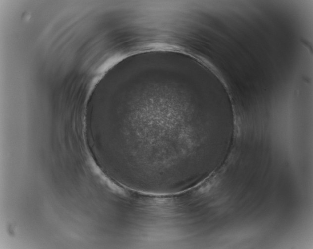 X0000103471381200809261854