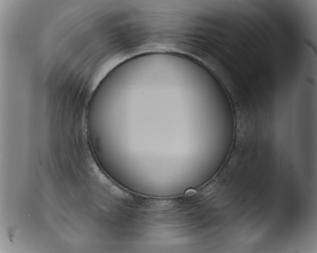 X0000103471382200809261854