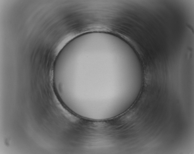 X0000103471383200809261854