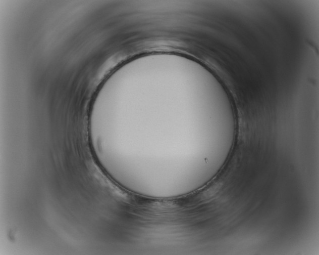 X0000103471384200809261854