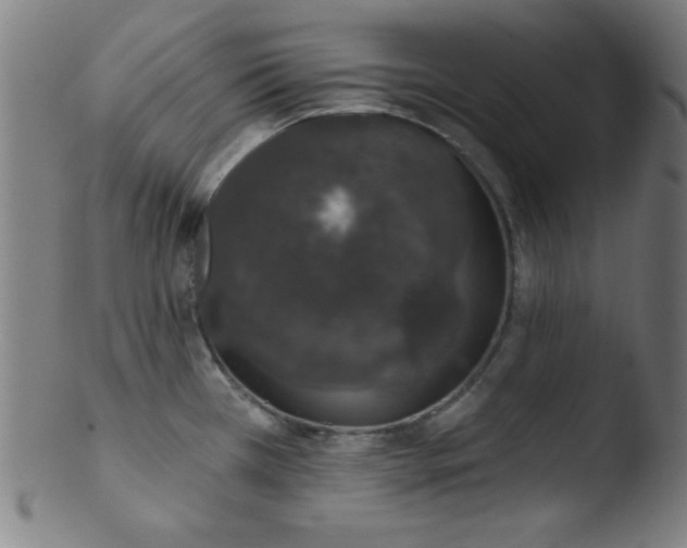 X0000103471385200809261854