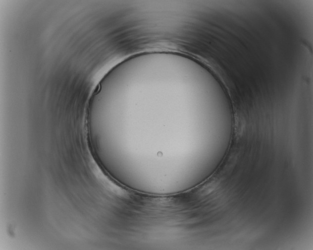 X0000103471387200809261854