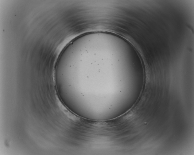 X0000103471388200809261854