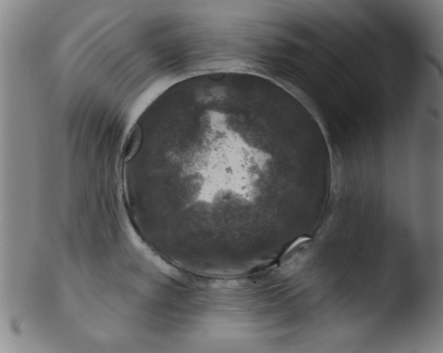 X0000103471389200809261854