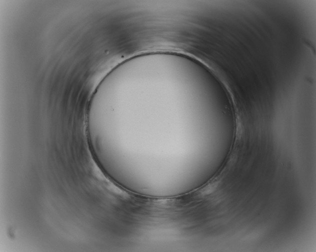 X0000103471390200809261854