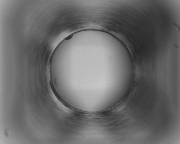 X0000103471391200809261854