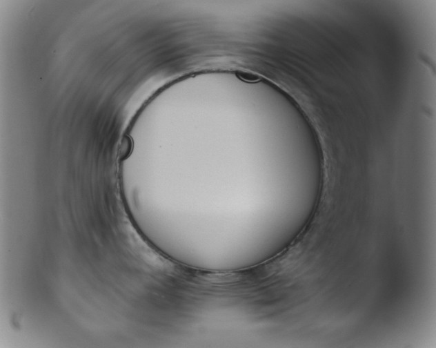 X0000103471392200809261854