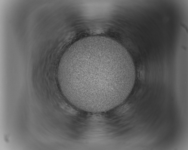 X0000103471393200809261853