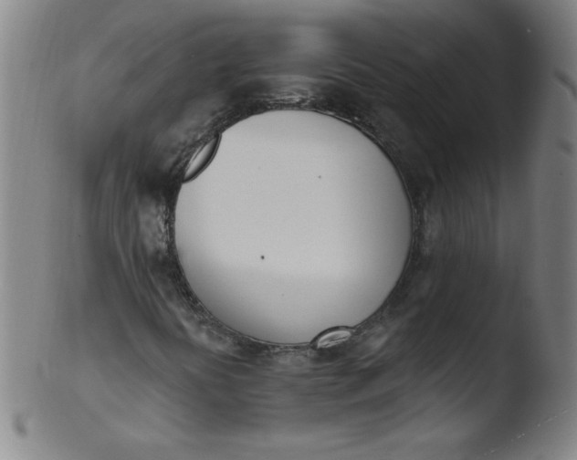 X0000103471394200809261853