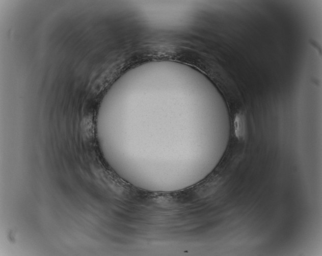 X0000103471395200809261853