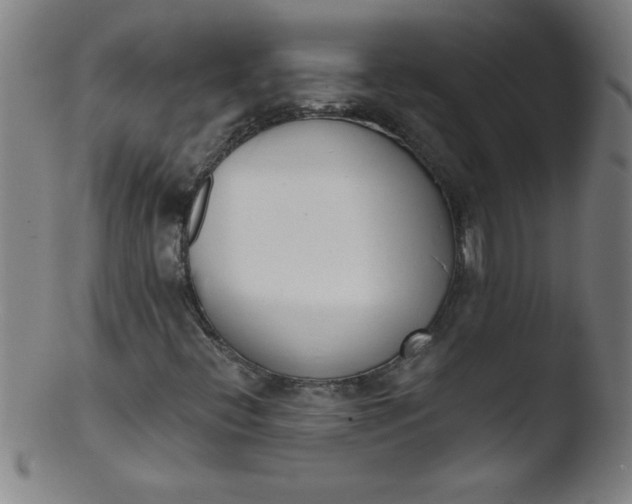 X0000103471396200809261853