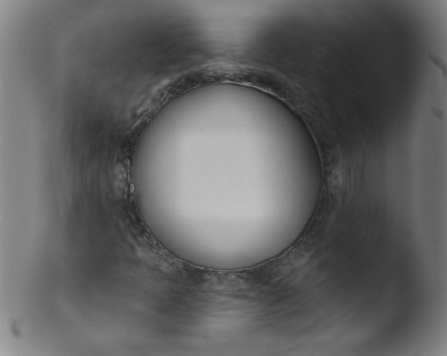 X0000103471397200809261853