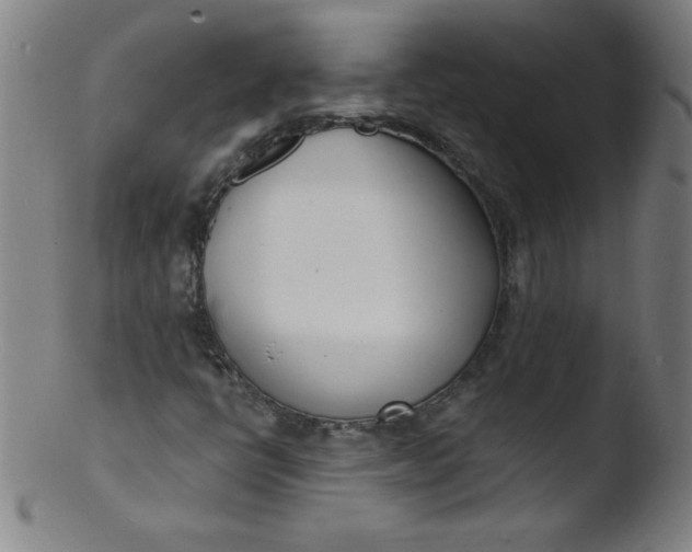 X0000103471398200809261853