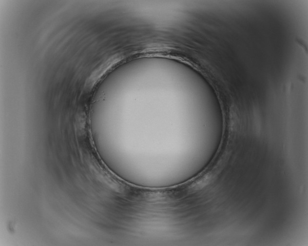 X0000103471401200809261853