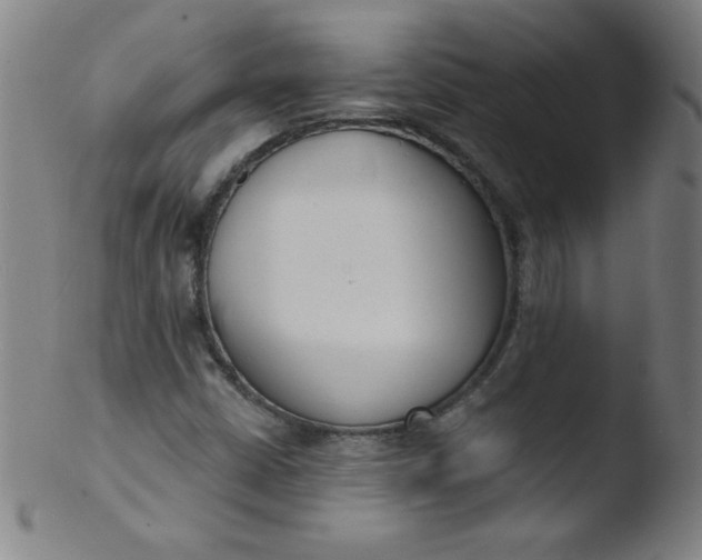 X0000103471402200809261853