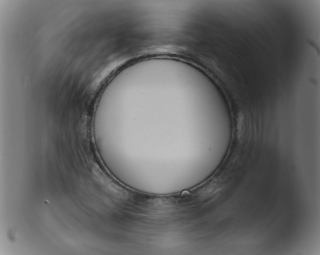 X0000103471404200809261853