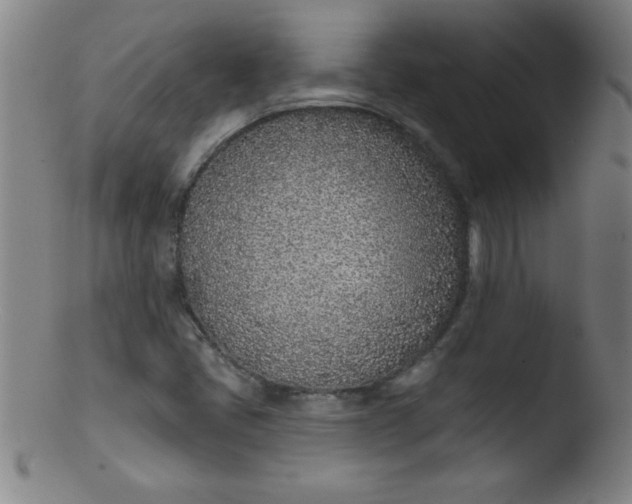 X0000103471405200809261853