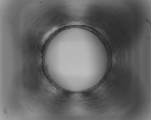 X0000103471406200809261853