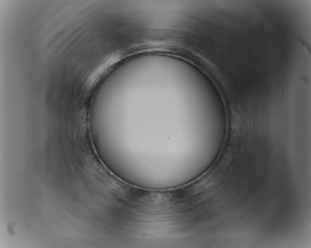 X0000103471411200809261853