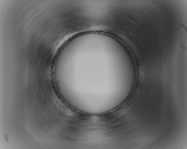 X0000103471412200809261853