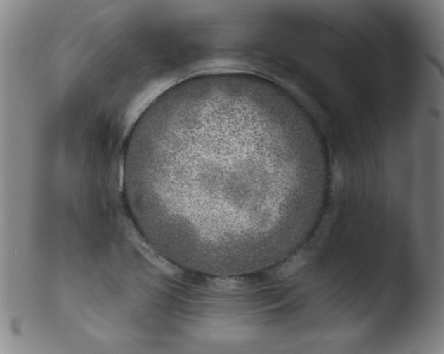 X0000103471413200809261853