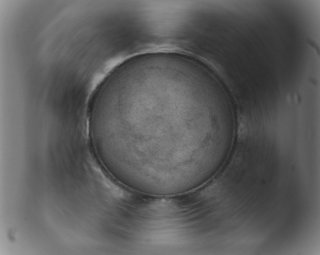 X0000103471414200809261853