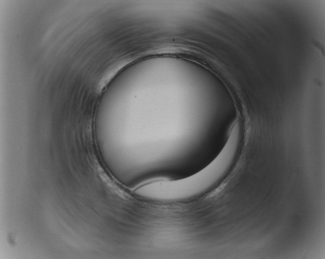 X0000103471417200809261853