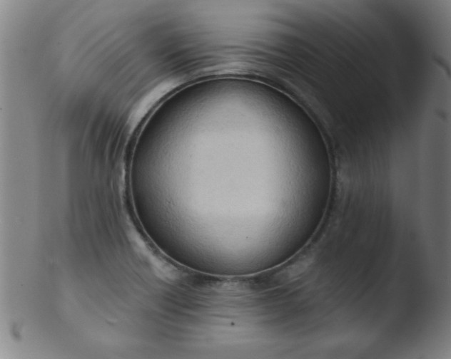 X0000103471418200809261853