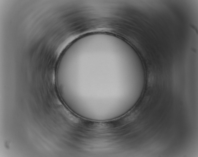 X0000103471420200809261854