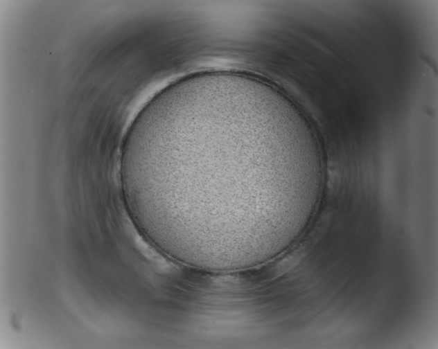 X0000103471421200809261854