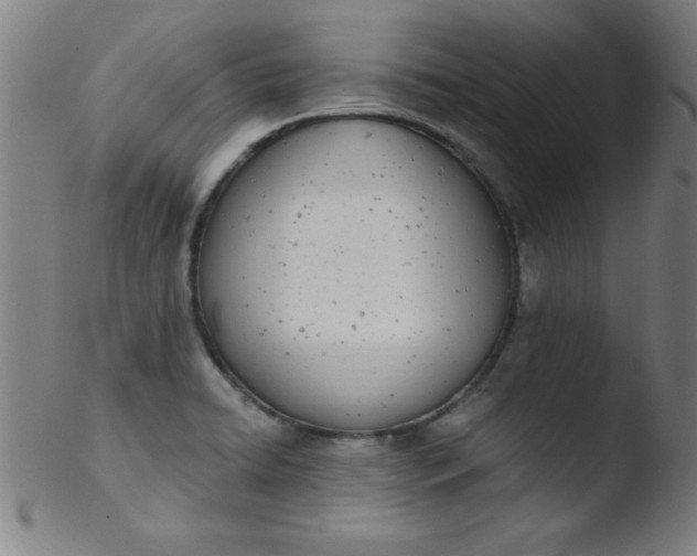 X0000103471422200809261854