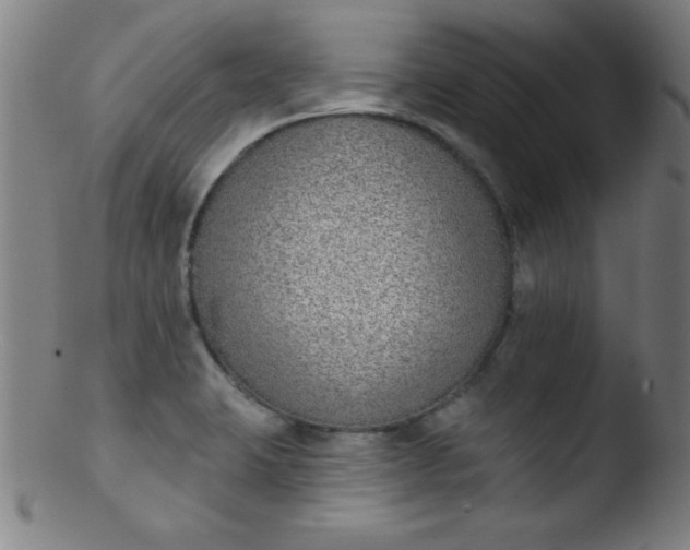 X0000103471423200809261854