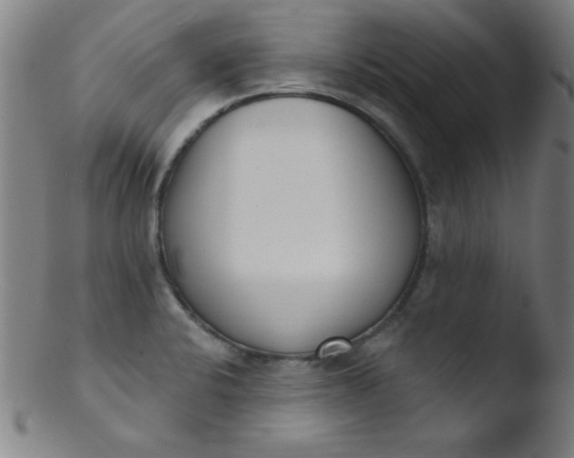 X0000103471424200809261854