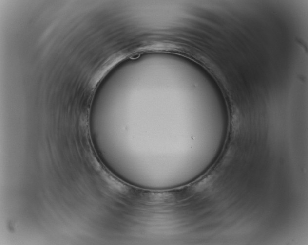 X0000103471425200809261854