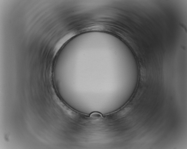 X0000103471426200809261854