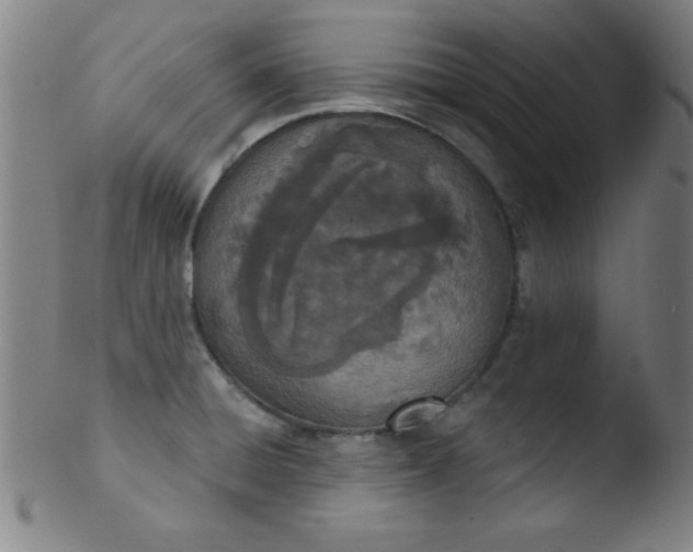 X0000103471428200809261854