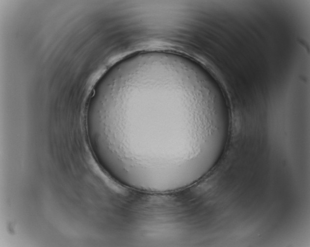 X0000103471429200809261854