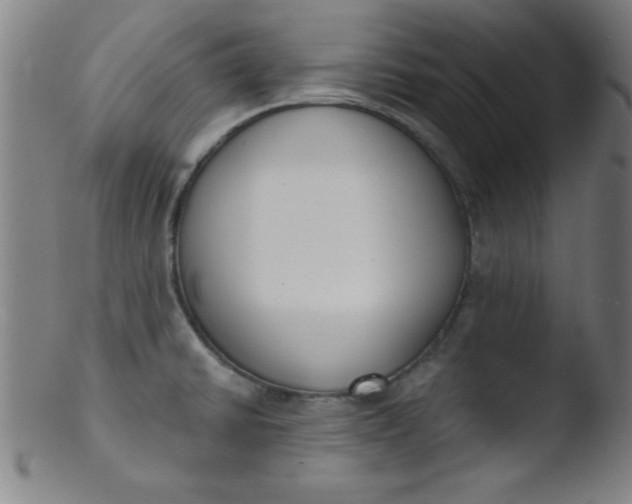 X0000103471430200809261854