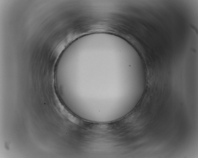 X0000103471431200809261854