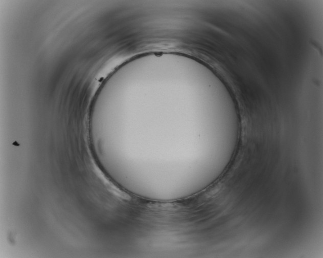 X0000103471432200809261854