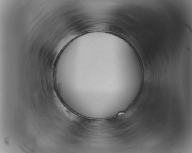 X0000103471434200809261854