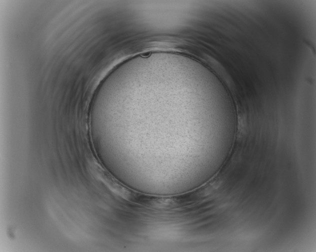 X0000103471435200809261854